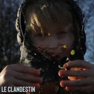 Le clandestin