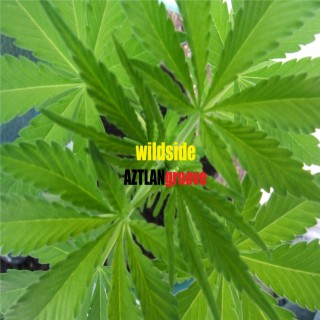 Wildside