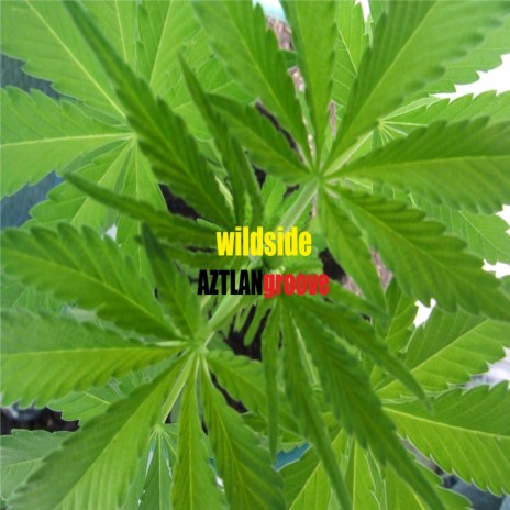 Wildside | Boomplay Music