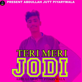 TERI MERI JODI (2.1)