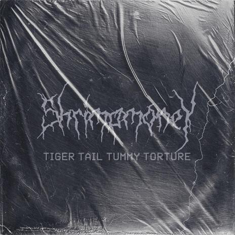 Tiger Tail Tummy Torture | Boomplay Music