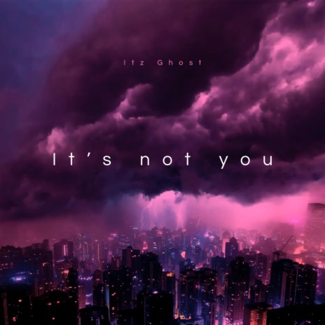 Its Not You | Boomplay Music