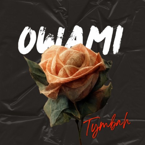 Owami | Boomplay Music