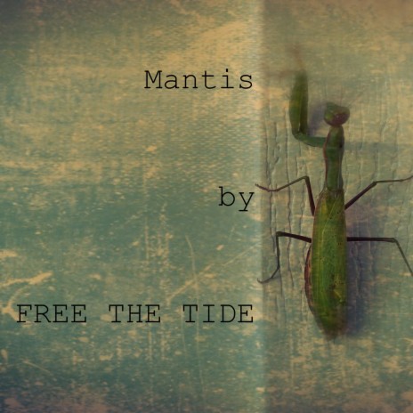 Mantis | Boomplay Music