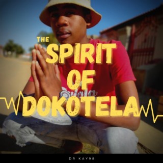 The Spirit of Dokotela