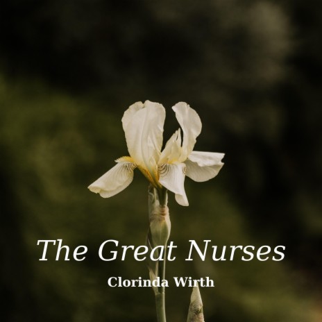 The Great Nurses