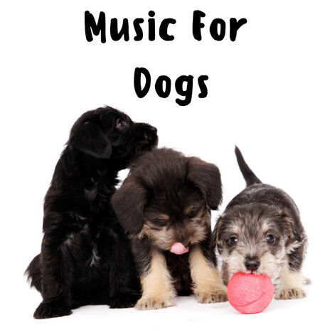 Father Time ft. Music For Dogs Peace, Relaxing Puppy Music & Calm Pets Music Academy | Boomplay Music