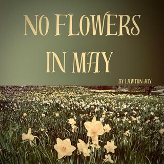 No Flowers In May lyrics | Boomplay Music