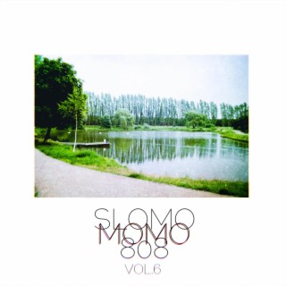 SlomoMomo808, Vol. 6