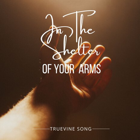 In the Shelter of Your Arms | Boomplay Music