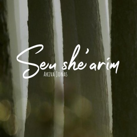 Seu She'arim | Boomplay Music