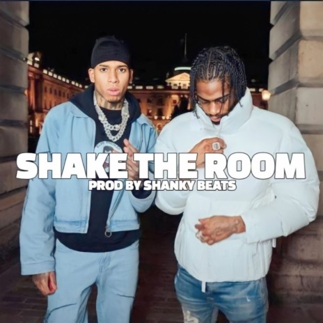 Shake the Room | Boomplay Music