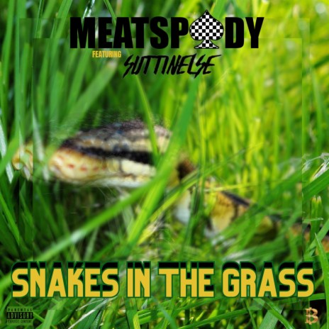 NickyNuAImusic Snakes In The Grass Lyrics