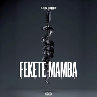 Fekete Mamba