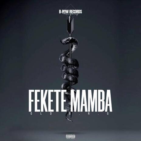 Fekete Mamba | Boomplay Music