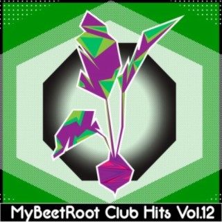 MyBeetRoots Club Hits, Vol. 12
