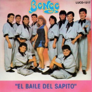 Grupo Bongo