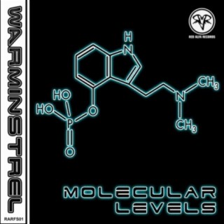 Molecular Levels