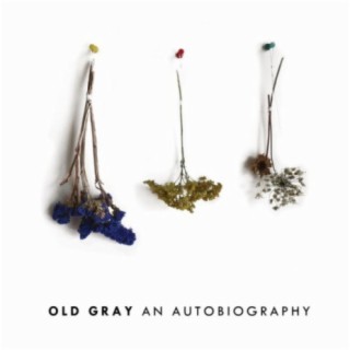 Old Gray