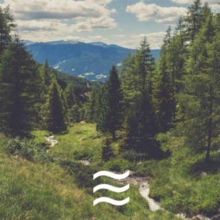 Soft Foresty Music Sounds of Nature for Yoga