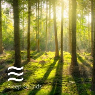 Kids Relief Smooth Sleeping Soughs of Forest