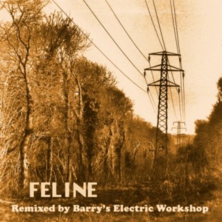 Lull (Barry's Electric Workshop Remix)