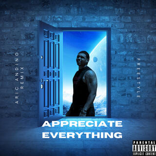 Appreciate Everything (Remix)