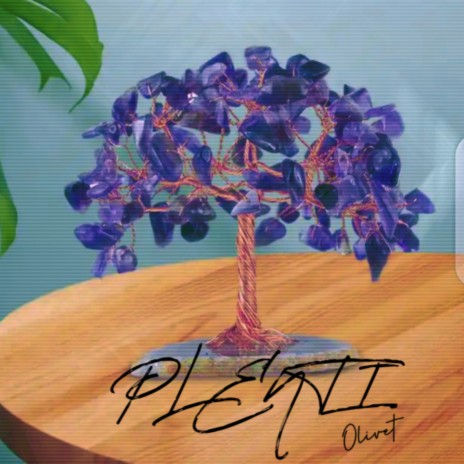 Plenti | Boomplay Music