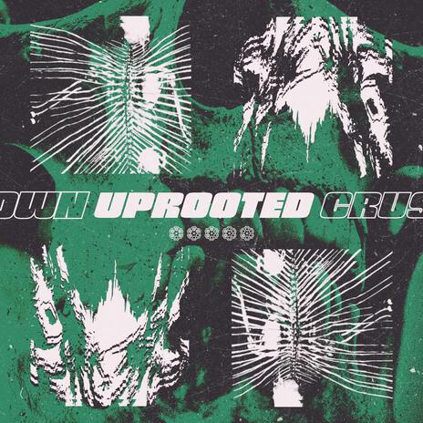 Uprooted | Boomplay Music