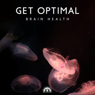 Get Optimal Brain Health: Eliminate Brain Diseases and Mental Illness
