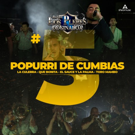 Popurrí Cumbias#5: La culebra/ Que Bonita/El Sauce y la Palma/ Toro Mambo | Boomplay Music