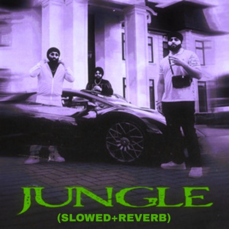 Jungle (Slowed+Reverb) ft. Channi