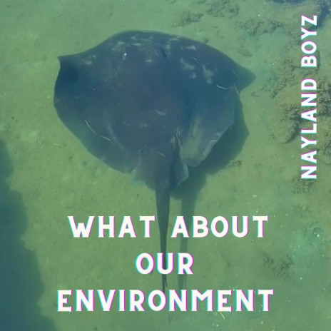 What About Our Environment | Boomplay Music