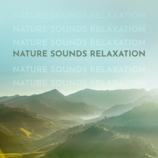 Nature Sounds Relaxation: Pure Healing from Music