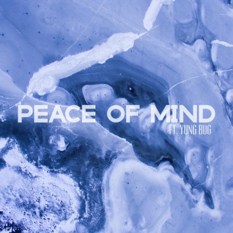 Peace of Mind (feat. Yung Bug) | Boomplay Music