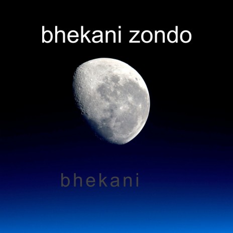 Bhekani | Boomplay Music
