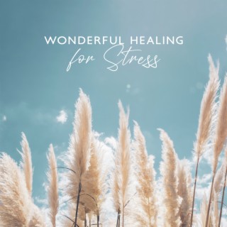 Wonderful Healing for Stress: Music to Calm the Mind and Alleviate Nervous Disorders