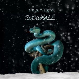 Snowfall (Radio Edit)