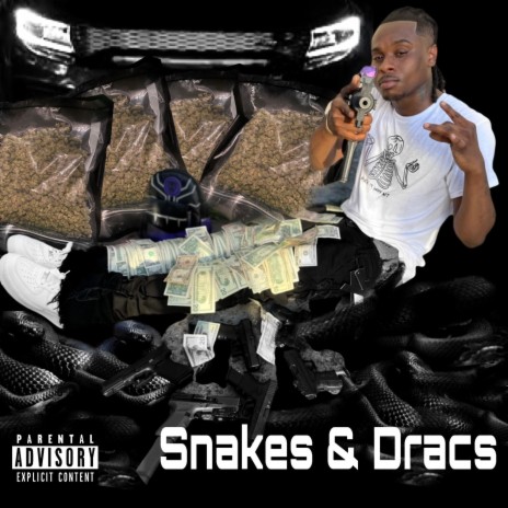 Snakes | Boomplay Music