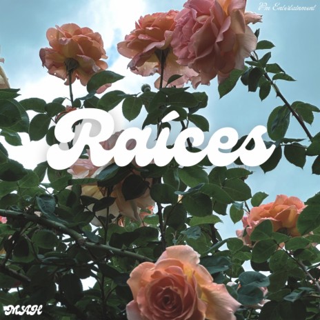 Raíces | Boomplay Music