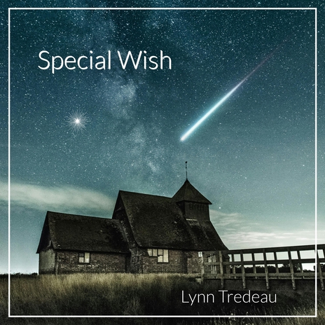 Special Wish | Boomplay Music