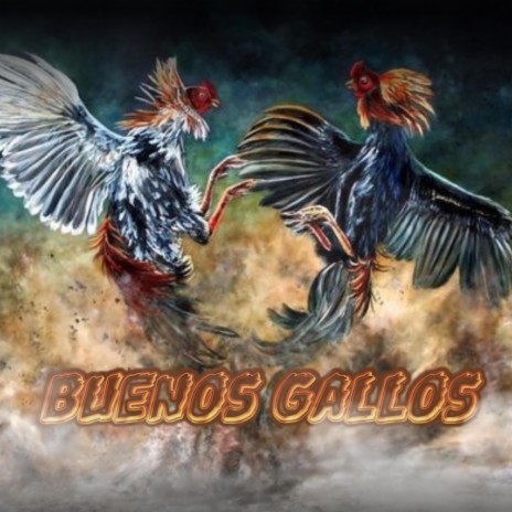 Buenos Gallos ft. Beto Robles | Boomplay Music