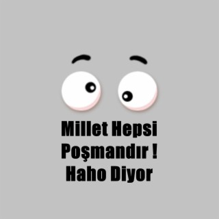 Millet Hepsi Poşmandır Haho Diyor (Remix)