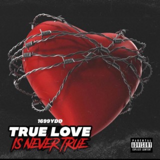 TRUE LOVE IS NEVER TRUE