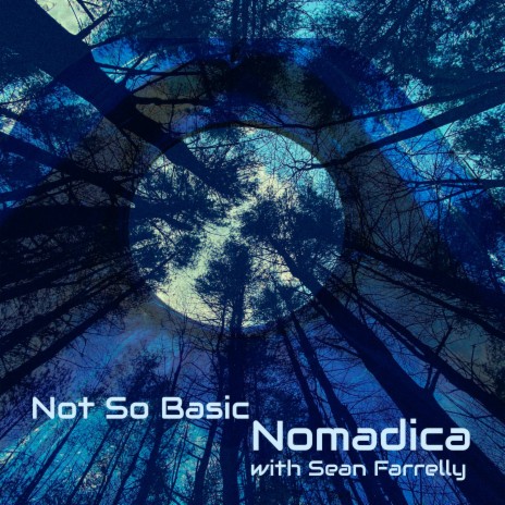 Not So Basic (feat. Sean Farrelly) | Boomplay Music