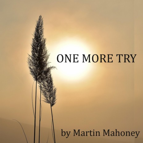 One More Try | Boomplay Music