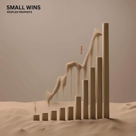 SMALL WINS | Boomplay Music