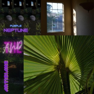 Purple Neptune & The Artisians