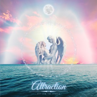 Attraction