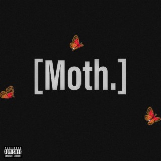 Moth.